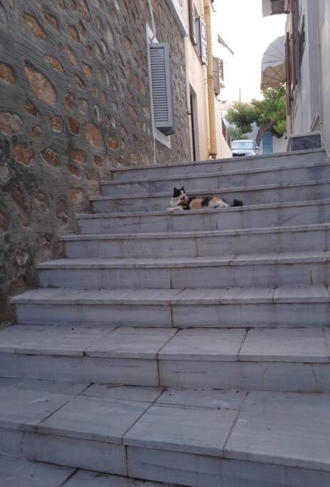 Syros Stone Yard House Villa Ermoúpoli Eksteriør bilde